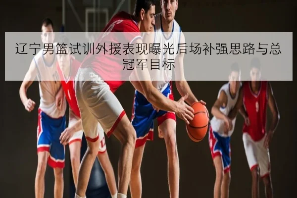 辽宁男篮试训外援表现曝光后场补强思路与总冠军目标
